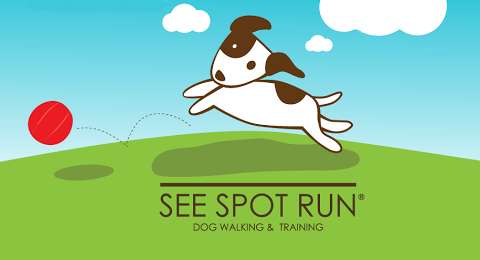 Photo: See Spot Run